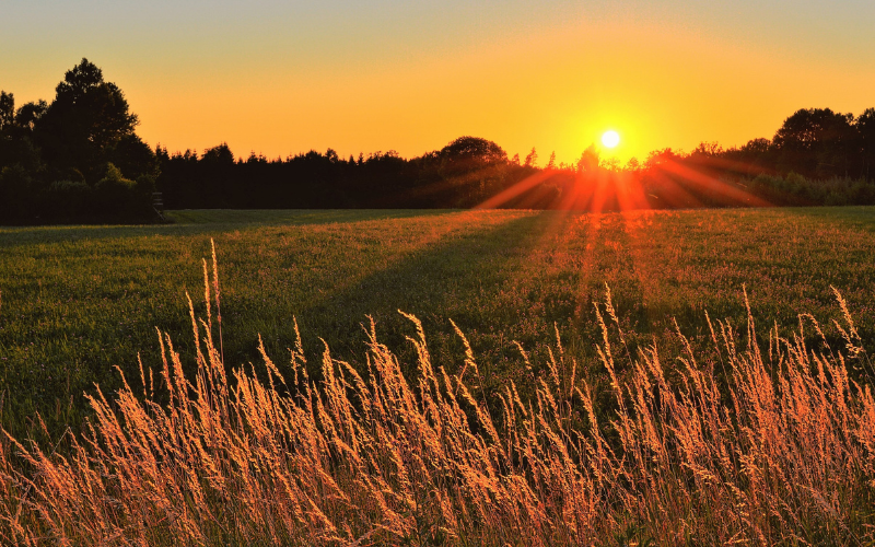 Summit Agro invierte en Bio Insumos Nativa para potenciar el mercado de productos biológicos