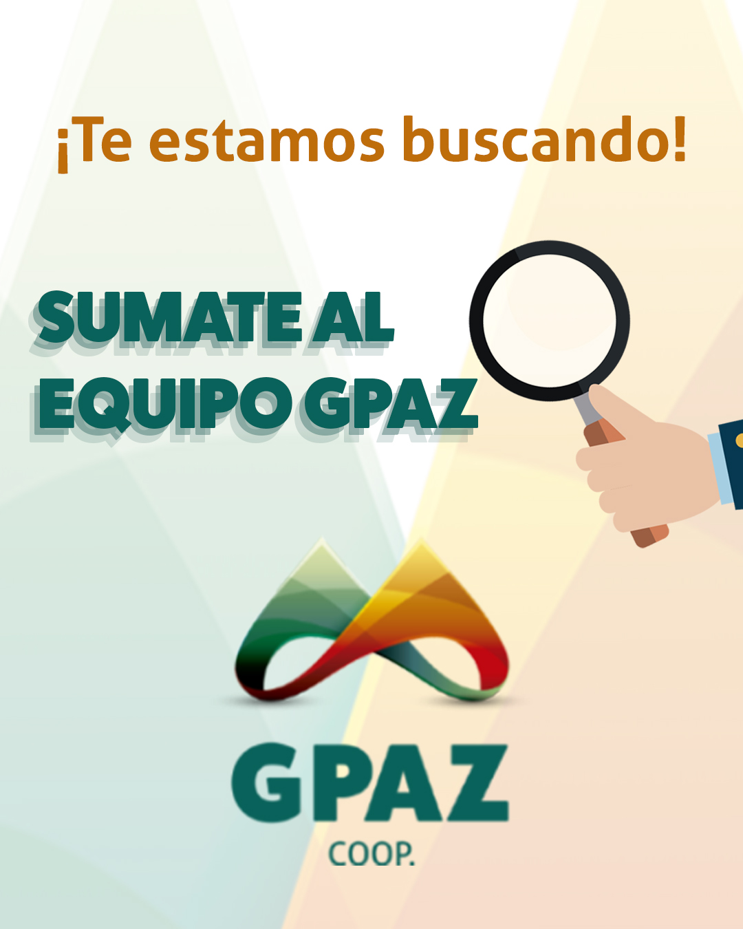 BÚSQUEDA LABORAL – PROFESIONAL JR. (Área Contabilidad y Auditoría)